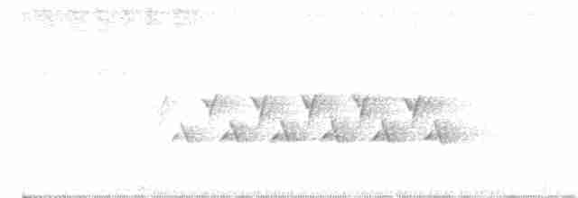 střízlík karolínský (ssp. albinucha/subfulvus) - ML604011961