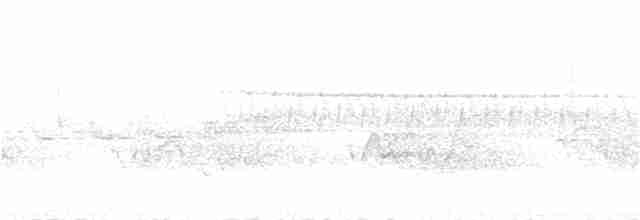 Common Merganser (North American) - ML60405571
