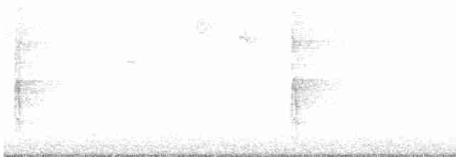 strakapoud velký [skupina major] - ML604097331