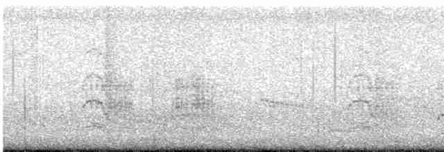 Common Tern - ML604112011