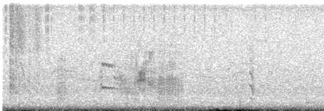 Common Tern - ML604113011