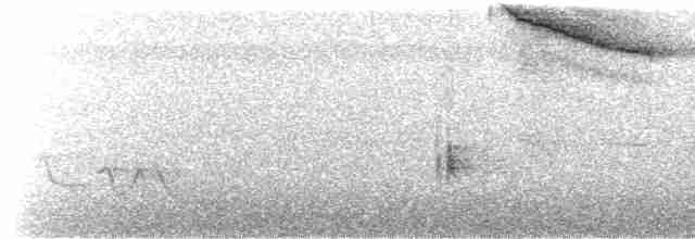Turuncu Gagalı Bülbül Ardıcı - ML604146471