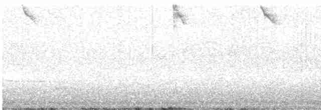 Graumantel-Brillenvogel - ML604185381