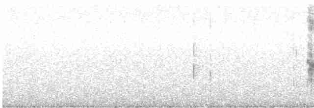 Міагра білогорла - ML604191101