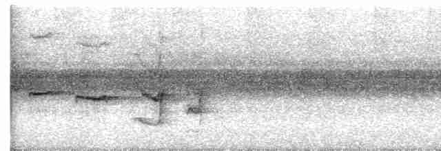 Серогрудый тенелюб - ML604235121
