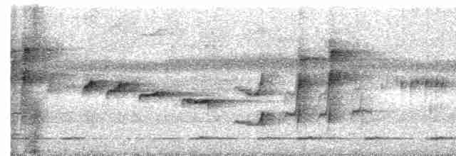 Серогрудый тенелюб - ML604235131