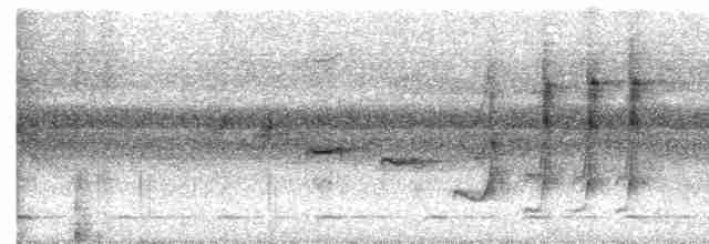 Серогрудый тенелюб - ML604235141