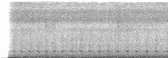 Lattice-tailed Trogon - ML604246431