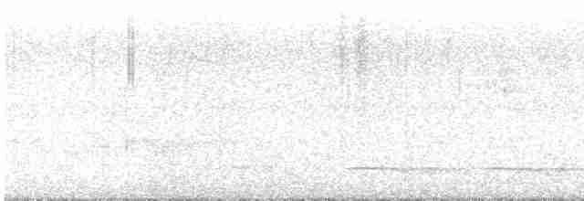 Atlantik Kara Gerdanlı Trogonu - ML604290071