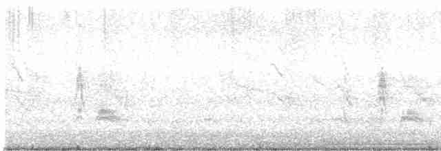 Серогрудый тиранн - ML604372301