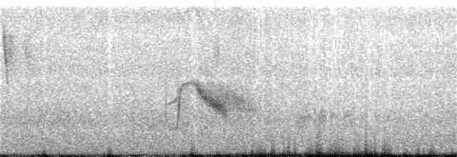 Gri Yanaklı Bülbül Ardıcı - ML60437441