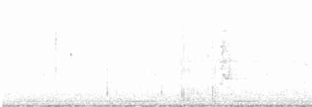 White-crested Tyrannulet - ML604402121