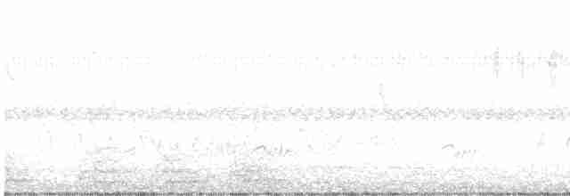 Щеврик пампасовий - ML604402251