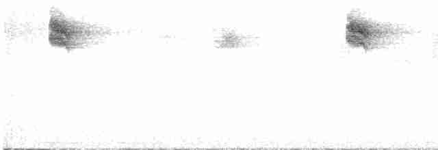 Euli-txori grisa [striata Taldekoa] - ML604422671