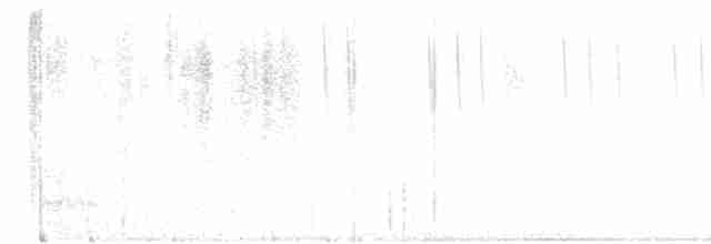 Calliope Hummingbird - ML604446521