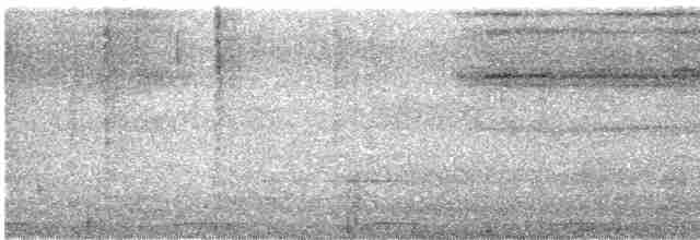 Сероглазая земляная горлица - ML604455871