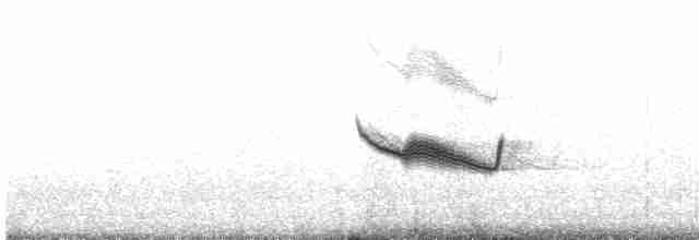 Band-winged Nightjar (Austral) - ML604484681