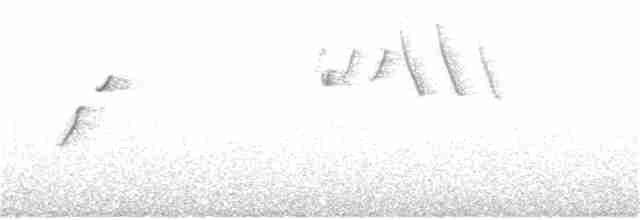Batı Amerika Sinekkapanı (occidentalis/hellmayri) - ML60449861