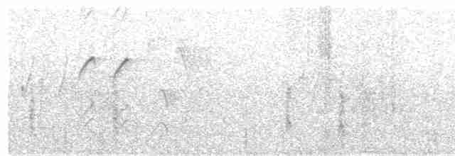 Uzun Kuyruklu Çim İspinozu - ML604501131