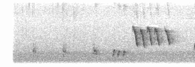 Australian Reed Warbler - ML604510641