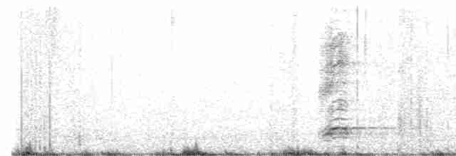 Black-crowned Night Heron - ML604542081