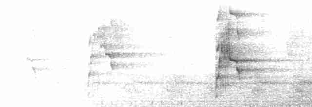 arassari hnědouchý - ML604569411