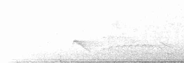 Лінивка-коротун сіроголова - ML604588071