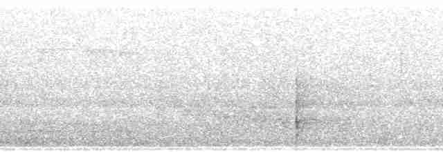 Pullu Çıtkuşu [marginatus grubu] - ML60462