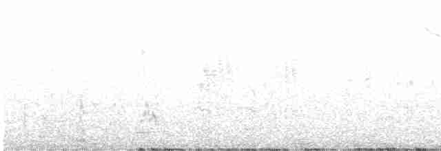 Трав’янчик чорний - ML604657531
