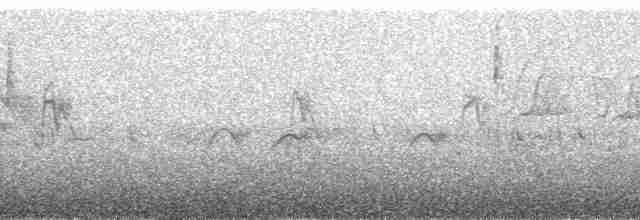fjellrosenfink (severtzovi gr.) (flekkrosenfink) - ML60466