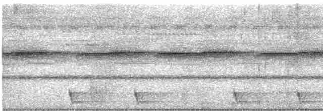 Large-tailed Nightjar - ML604748161