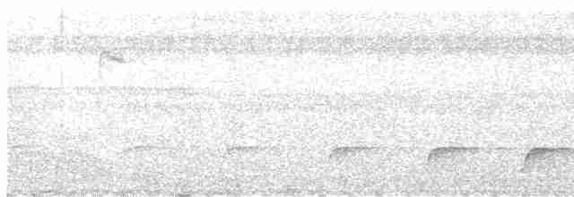 Mangrove Whistler - ML604770041