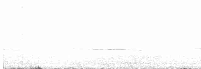 Black-eared Cuckoo - ML604779591