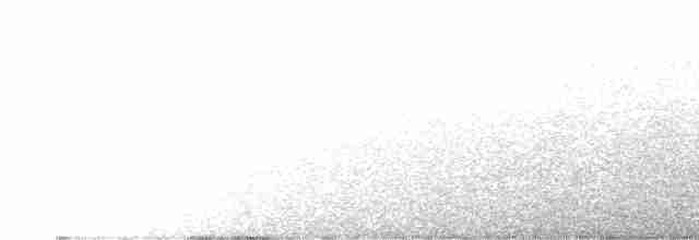 Lapon Baykuşu - ML604792151