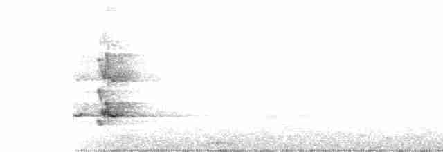 Куравонг сірий (підвид versicolor/plumbea) - ML604796251
