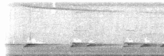 Kara Kulaklı Barbet - ML604812571