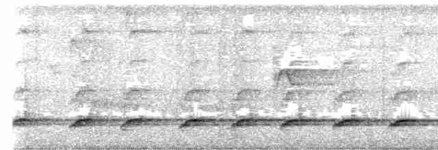 Kara Kulaklı Barbet - ML604812581