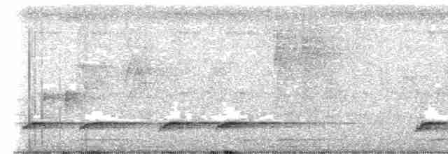 Black-eared Barbet - ML604812591