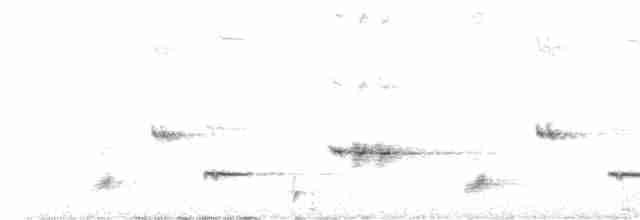 Psophode à menton noir (nigrogularis/oberon) - ML604816921