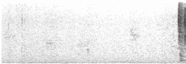 Соловьиная широкохвостка - ML604819171