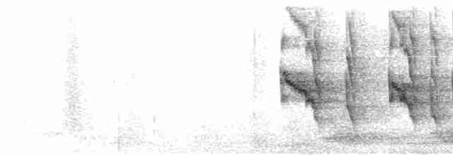 Social Flycatcher (Vermilion-crowned) - ML604868221