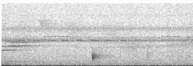 Musician Wren (Gray-eared) - ML604873861