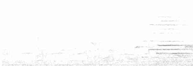 White-bellied Treepie - ML604881801