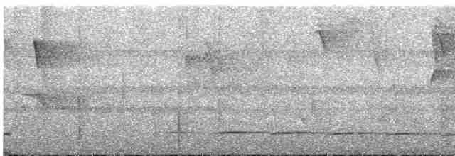 White-streaked Antvireo (White-streaked) - ML604882301