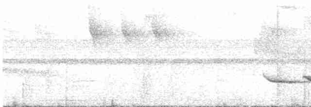 Schwarzgrau-Ameisenvogel - ML604893101