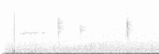 Kentucky Warbler - ML604901451