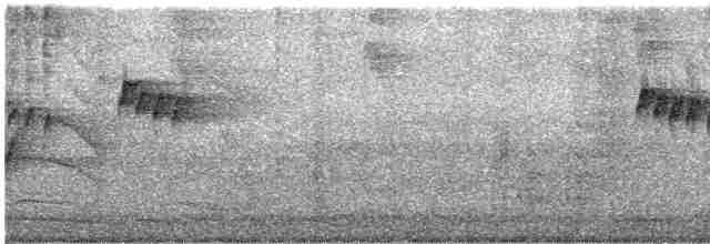 Мухолов-клинодзьоб сірий - ML604903321