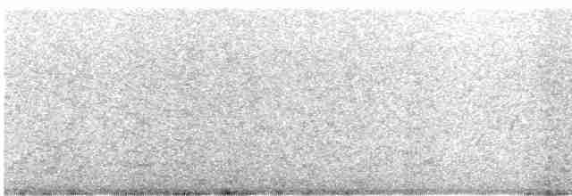 Kara Leş Kargası - ML604909001