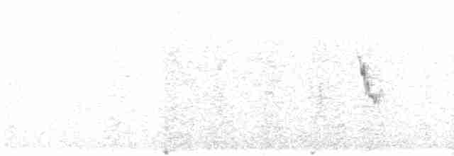 Lavandera Blanca - ML604909431