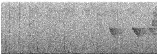 Strichelkopf-Ameisenfänger - ML604938501